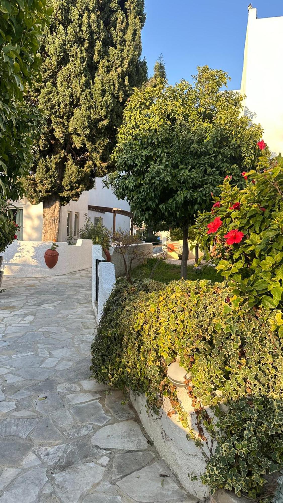 Paphos Gardens Studio Suite Exteriér fotografie
